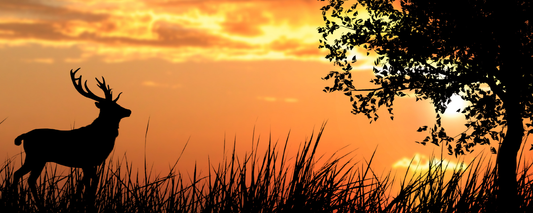 Location Customizable Magnet - Animal Backgrounds DEER AT SUNSET