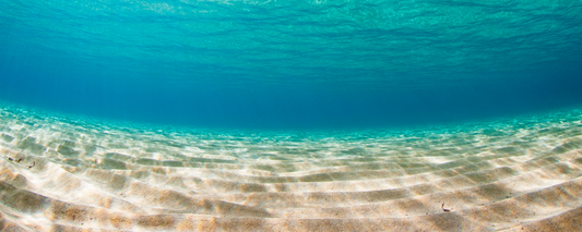Location Customizable Magnet - Ocean Backgrounds UNDERWATER