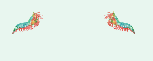 Location Customizable Magnet - Ocean Backgrounds COLORFUL SHRIMP