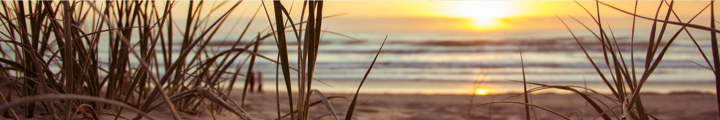 Location Customizable Shelf Sitters - Beach Backgrounds SUNSET SEAGRASS