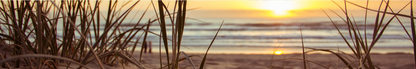 Location Customizable Shelf Sitters - Beach Backgrounds SUNSET SEAGRASS