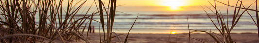 Location Customizable Shelf Sitters - Beach Backgrounds SUNSET SEAGRASS