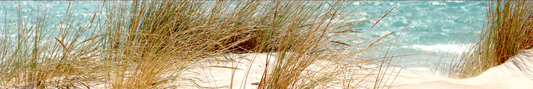 Location Customizable Shelf Sitters - Beach Backgrounds GRASSY BEACH