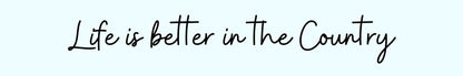 Shelf Sitter - Inspirational Theme LIFE IS BETTER IN THE COUNTRY