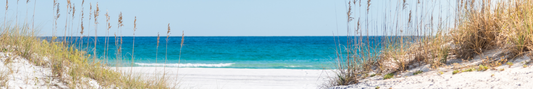 Location Customizable Shelf Sitters - Beach Backgrounds SAND GRASS WATER
