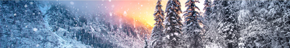 Location Customizable Shelf Sitters - Christmas Backgrounds SNOWY MOUNTAINS AND TREES