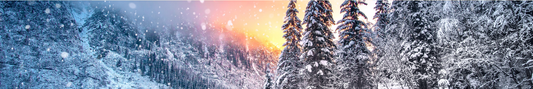 Location Customizable Shelf Sitters - Christmas Backgrounds SNOWY MOUNTAINS AND TREES