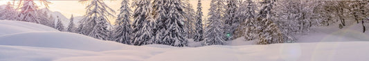 Location Customizable Shelf Sitters - Christmas Backgrounds SNOWY SMOKY MOUNTAINS
