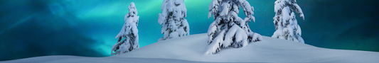 Location Customizable Shelf Sitters - Christmas Backgrounds SNOW AND NORTHERN LIGHTS