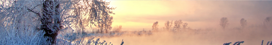 Location Customizable Shelf Sitters - Christmas Backgrounds SNOWY LAKE