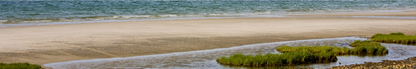 Location Customizable Shelf Sitters - Beach Backgrounds ISLAND PEBBLES AND GRASS