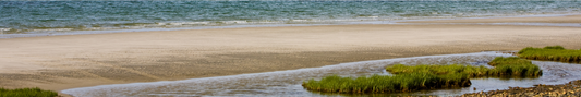 Location Customizable Shelf Sitters - Beach Backgrounds ISLAND PEBBLES AND GRASS