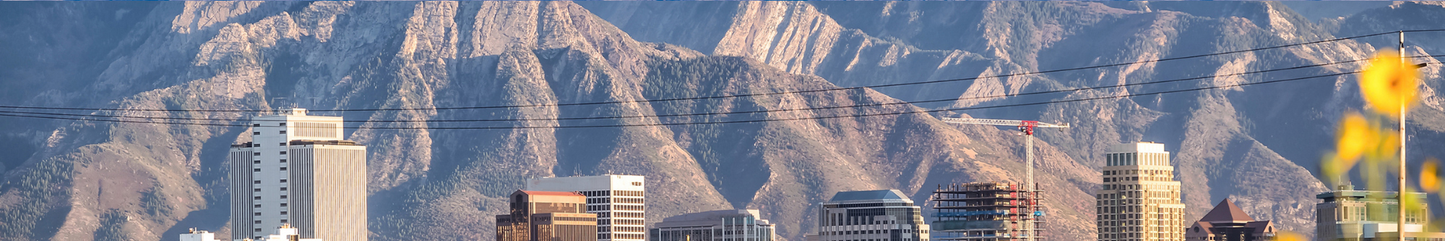 Location Customizable Shelf Sitters - Mountains Backgrounds CITY WITH MOUNTAINS