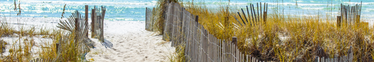 Location Customizable Shelf Sitters - Beach Backgrounds BEACH PATH WITH FENCE