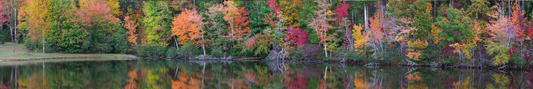 Location Customizable Shelf Sitters - Lake Backgrounds BEAUTIFUL FALL TREES OVER LAKE