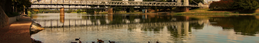 Location Customizable Shelf Sitters - Lake Backgrounds BRIDGE OVER WATER WITH DUCKS