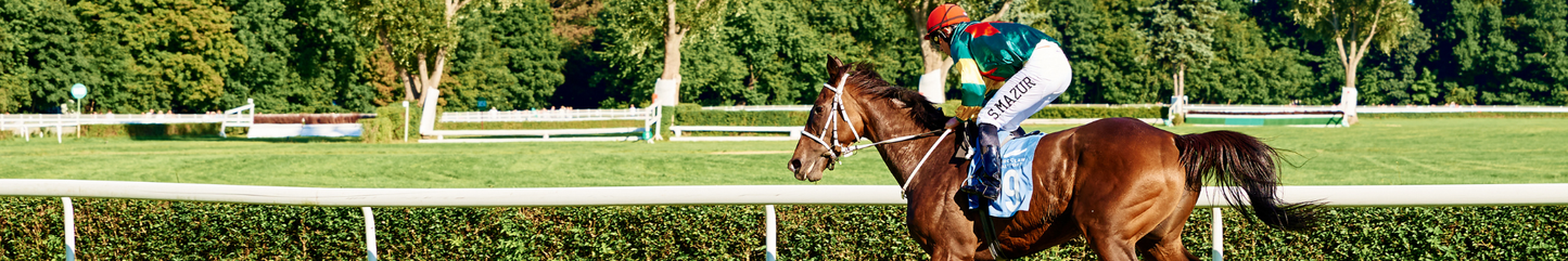 Location Customizable Shelf Sitters - Miscellaneous Backgrounds HORSE WITH JOCKEY