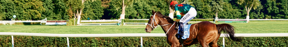 Location Customizable Shelf Sitters - Miscellaneous Backgrounds HORSE WITH JOCKEY