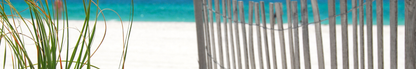 Location Customizable Shelf Sitters - Beach Backgrounds SEAGRASS