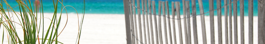 Location Customizable Shelf Sitters - Beach Backgrounds SEAGRASS