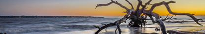 Location Customizable Shelf Sitters - Island Backgrounds DRIFTWOOD