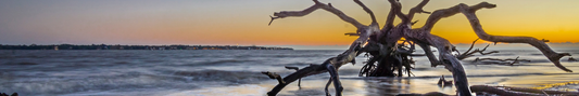 Location Customizable Shelf Sitters - Island Backgrounds DRIFTWOOD