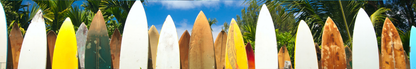 Location Customizable Shelf Sitters - Water Sports Backgrounds SURFBOARDS
