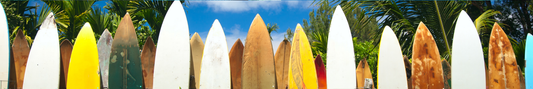 Location Customizable Shelf Sitters - Water Sports Backgrounds SURFBOARDS