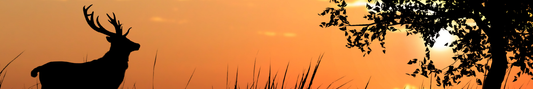 Location Customizable Shelf Sitters - Animal Backgrounds DEER AT SUNSET