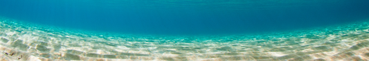 Location Customizable Shelf Sitters - Ocean Backgrounds UNDERWATER