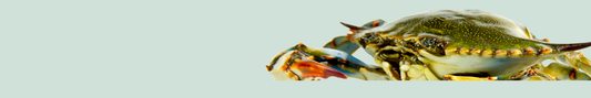 Location Customizable Shelf Sitters - Ocean Backgrounds REAL BLUE CRAB