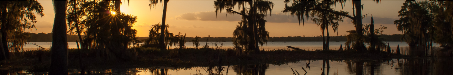 Location Customizable Shelf Sitters - Miscellaneous Backgrounds SWAMP SUNSET