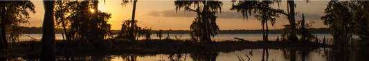 Location Customizable Shelf Sitters - Miscellaneous Backgrounds SWAMP SUNSET